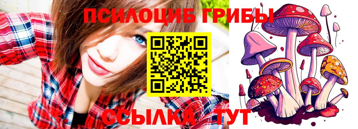 закладка  Вход с VPN  Амурск  Псилоцибиновые грибы мухоморы 