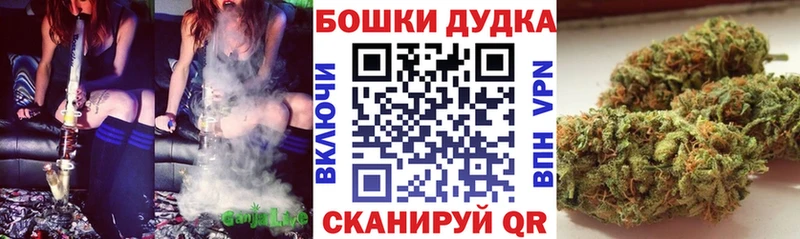 Конопля SATIVA & INDICA  MEGA ссылка  Амурск  купить  